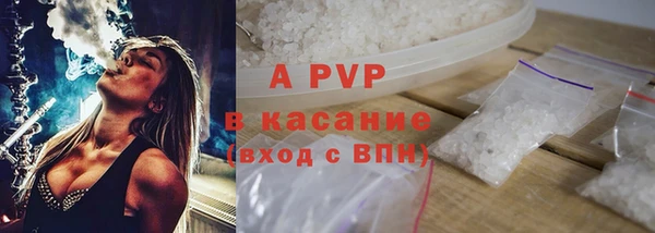 прущие грибы Губаха