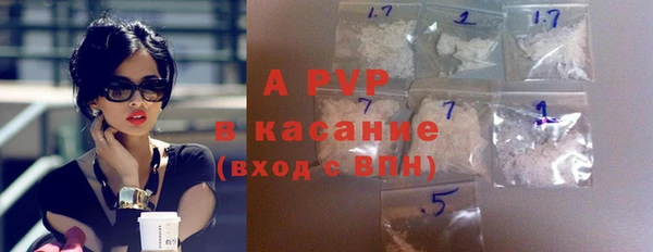 прущие грибы Губаха
