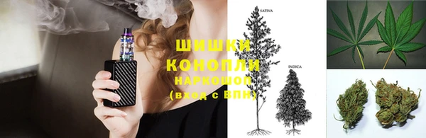дурь Бронницы