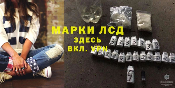 прущие грибы Губаха