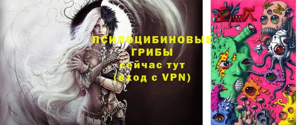 тгк Богородицк