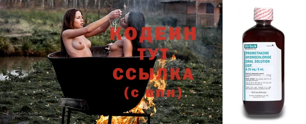 прущие грибы Губаха
