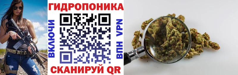 нарко площадка официальный сайт  Городец  Каннабис планчик 